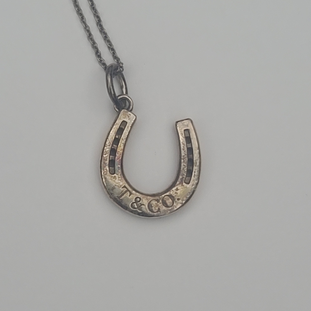T&Co Horseshoe Pendant Necklace